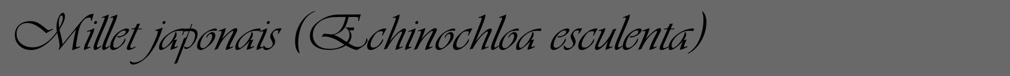 Étiquette de : Echinochloa esculenta - format a - style noire11viv avec comestibilité
