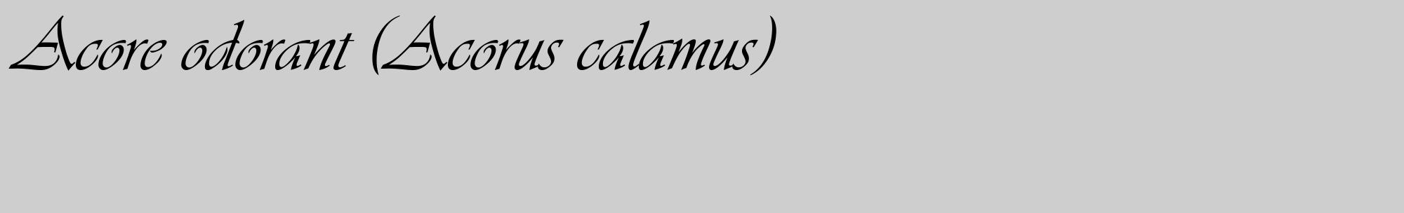 Étiquette de : Acorus calamus - format c - style noire17_basique_basiqueviv avec comestibilité