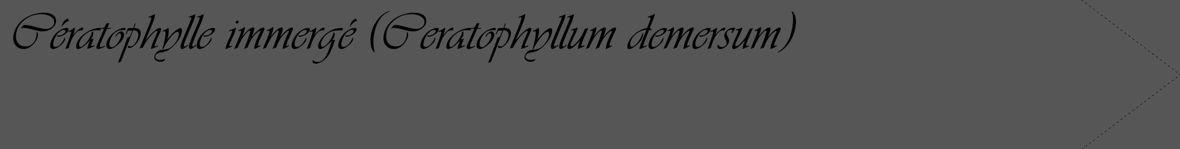 Étiquette de : Ceratophyllum demersum - format c - style noire45_simple_simpleviv avec comestibilité
