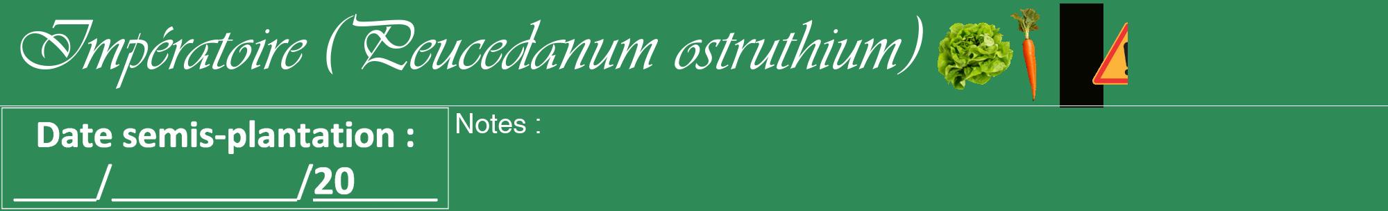 Étiquette de : Peucedanum ostruthium - format a - style blanche11basiqueviv avec comestibilité simplifiée