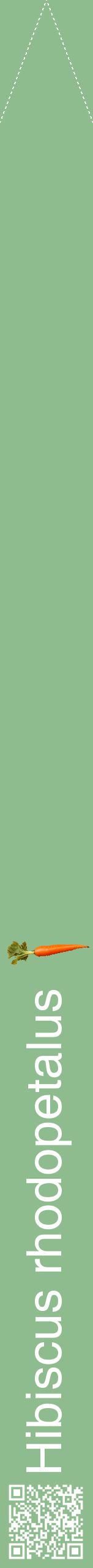 Étiquette de : Hibiscus rhodopetalus - format b - style blanche13hel avec qrcode et comestibilité simplifiée