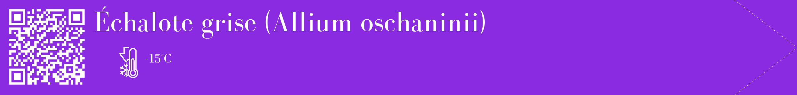 Étiquette de : Allium oschaninii - format c - style blanche49_simple_simplebod avec qrcode et comestibilité