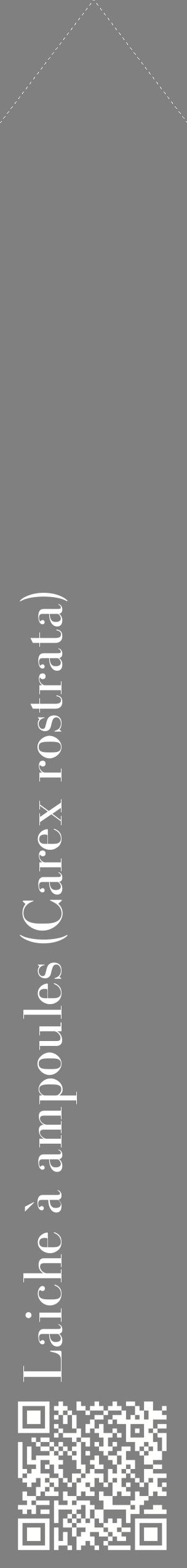 Étiquette de : Carex rostrata - format c - style blanche57_simplebod avec qrcode et comestibilité