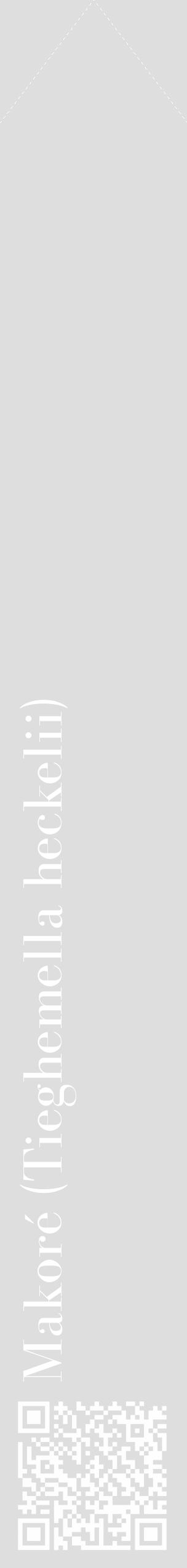 Étiquette de : Tieghemella heckelii - format c - style blanche20_simple_simplebod avec qrcode et comestibilité - position verticale