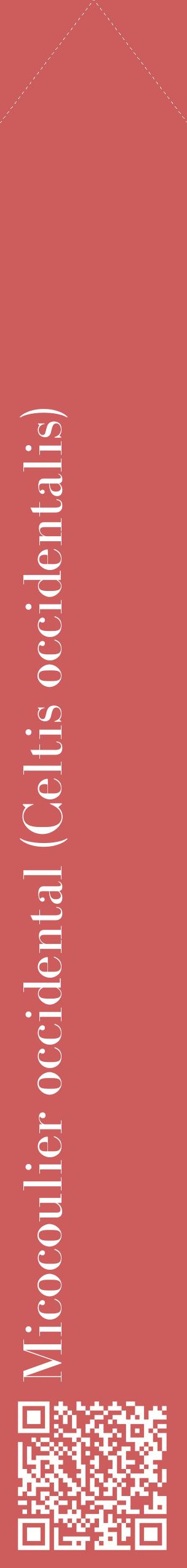Étiquette de : Celtis occidentalis - format c - style blanche35_simplebod avec qrcode et comestibilité