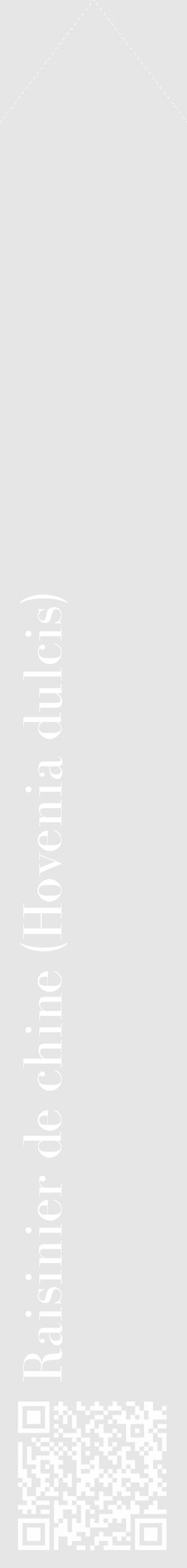 Étiquette de : Hovenia dulcis - format c - style blanche18_simple_simplebod avec qrcode et comestibilité - position verticale