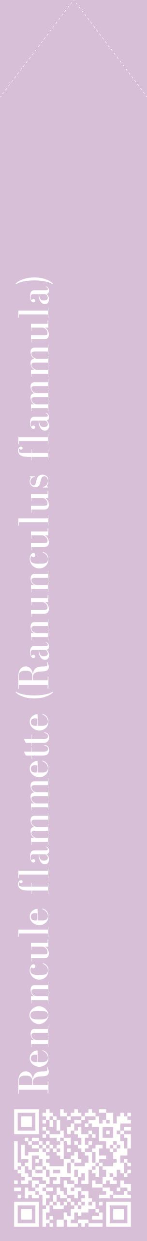 Étiquette de : Ranunculus flammula - format c - style blanche54_simplebod avec qrcode et comestibilité