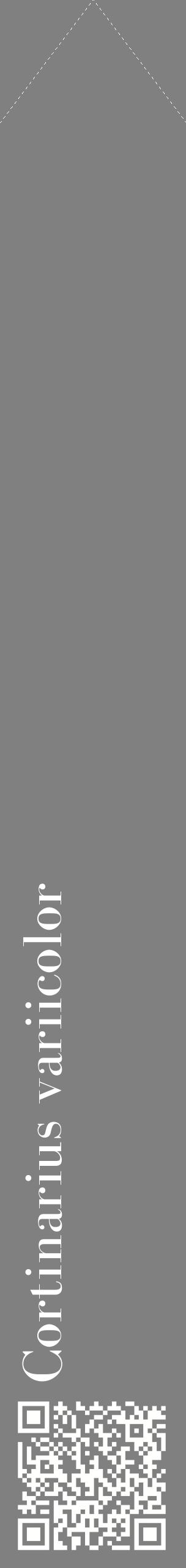 Étiquette de : Cortinarius variicolor - format c - style blanche57_simplebod avec qrcode et comestibilité