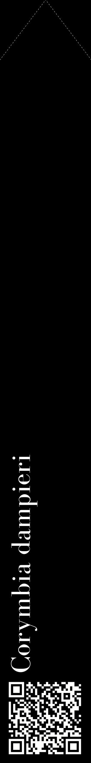 Étiquette de : Corymbia dampieri - format c - style blanche59_simplebod avec qrcode et comestibilité