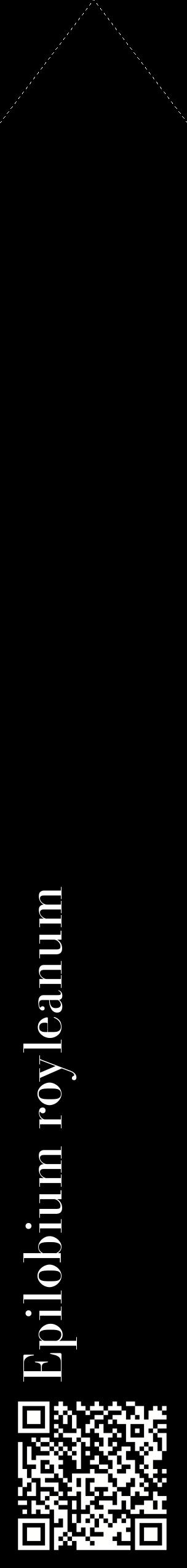 Étiquette de : Epilobium royleanum - format c - style blanche59_simplebod avec qrcode et comestibilité