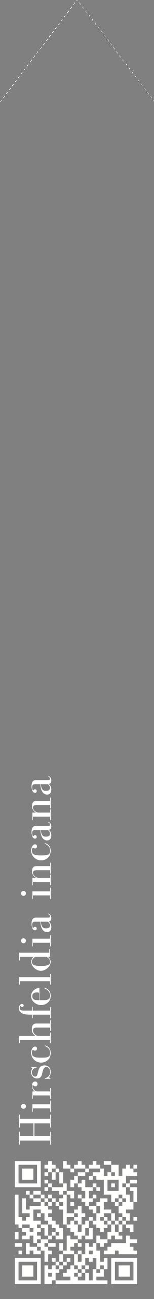 Étiquette de : Hirschfeldia incana - format c - style blanche57_simplebod avec qrcode et comestibilité
