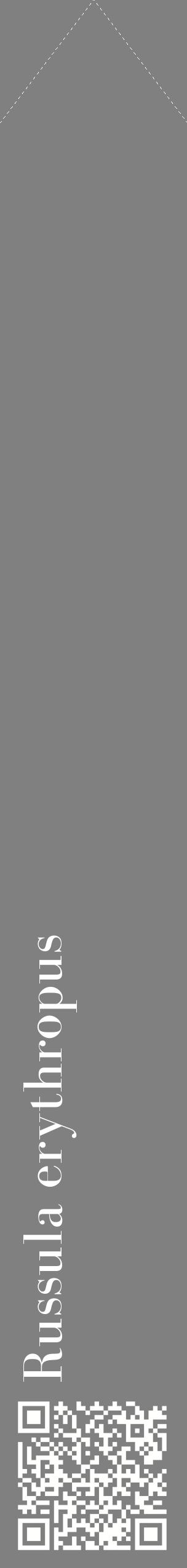 Étiquette de : Russula erythropus - format c - style blanche57_simplebod avec qrcode et comestibilité