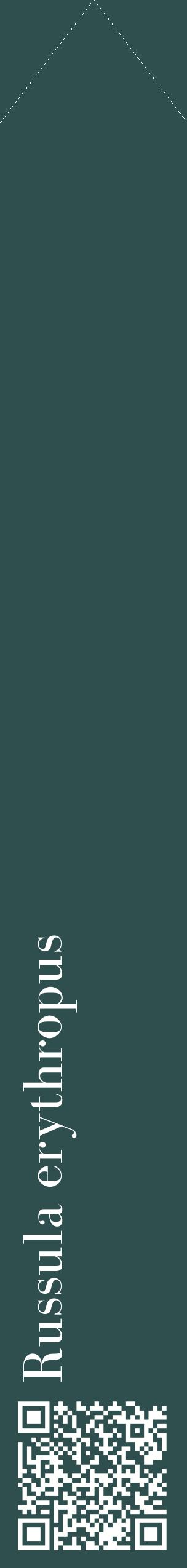 Étiquette de : Russula erythropus - format c - style blanche58_simplebod avec qrcode et comestibilité