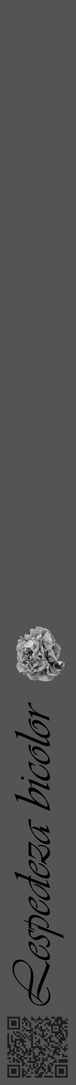 Étiquette de : Lespedeza bicolor - format a - style noire30viv avec qrcode et comestibilité simplifiée - position verticale
