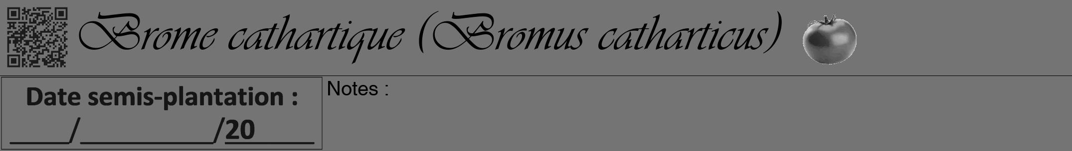 Étiquette de : Bromus catharticus - format a - style noire26viv avec qrcode et comestibilité simplifiée