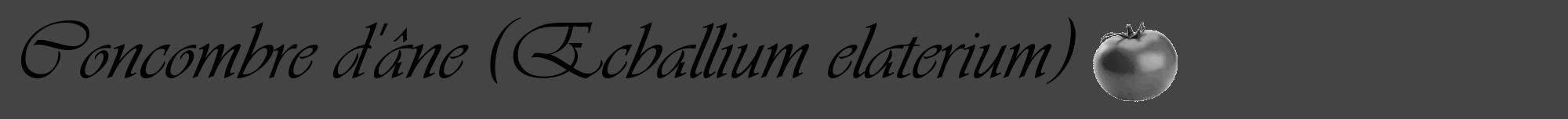 Étiquette de : Ecballium elaterium - format a - style noire48viv avec comestibilité simplifiée