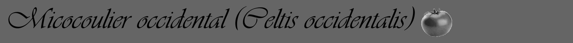 Étiquette de : Celtis occidentalis - format a - style noire32viv avec comestibilité simplifiée