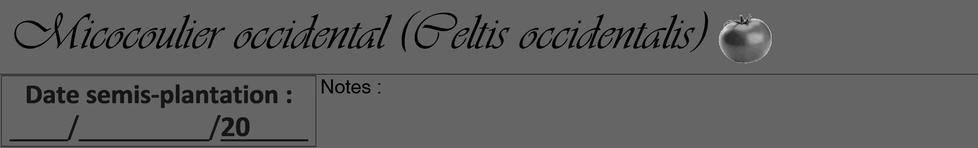 Étiquette de : Celtis occidentalis - format a - style noire32viv avec comestibilité simplifiée
