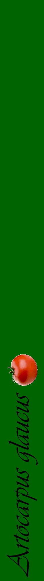 Étiquette de : Artocarpus glaucus - format a - style noire8viv avec comestibilité simplifiée