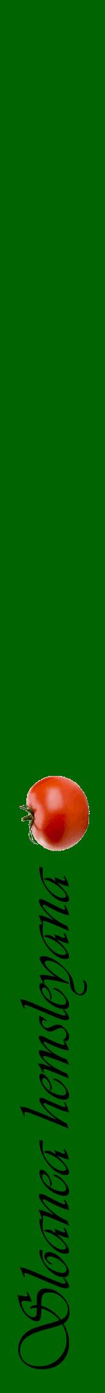 Étiquette de : Sloanea hemsleyana - format a - style noire8viv avec comestibilité simplifiée