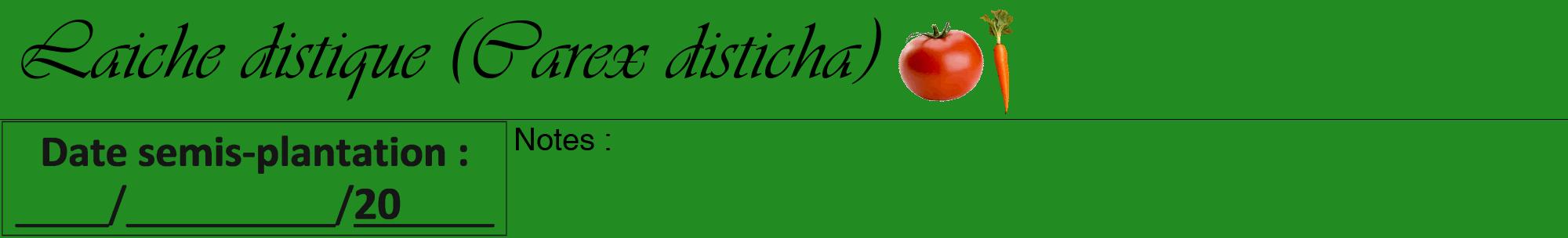 Étiquette de : Carex disticha - format a - style noire10basiqueviv avec comestibilité simplifiée
