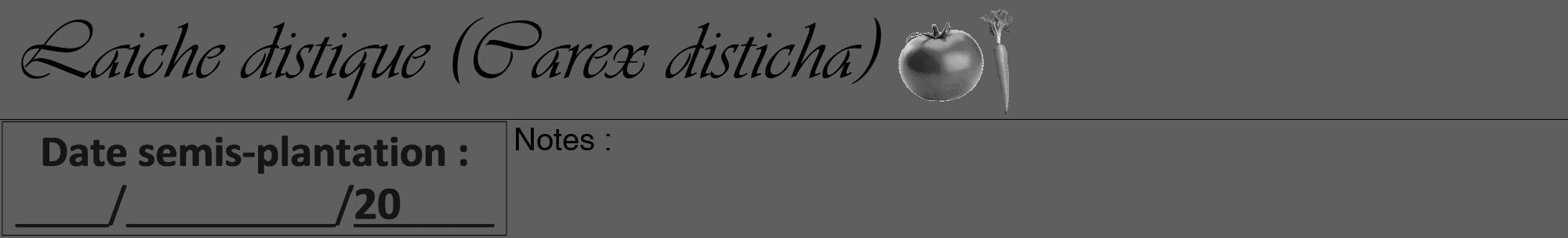Étiquette de : Carex disticha - format a - style noire10basiqueviv avec comestibilité simplifiée