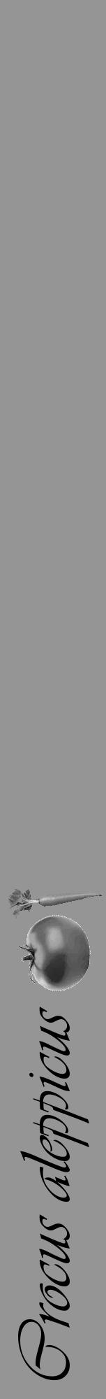 Étiquette de : Crocus aleppicus - format a - style noire16viv avec comestibilité simplifiée - position verticale