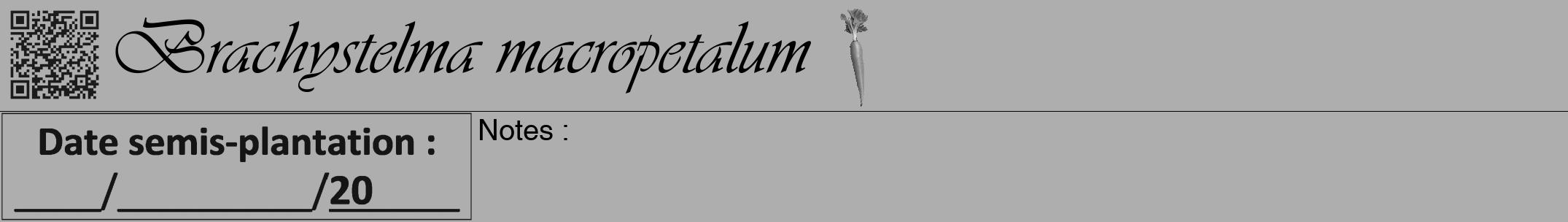 Étiquette de : Brachystelma macropetalum - format a - style noire53viv avec qrcode et comestibilité simplifiée