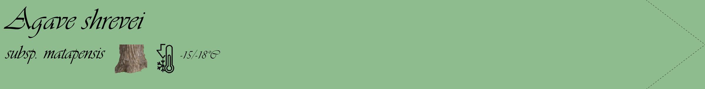 Étiquette de : Agave shrevei subsp. matapensis - format c - style noire13_simple_simpleviv avec comestibilité simplifiée