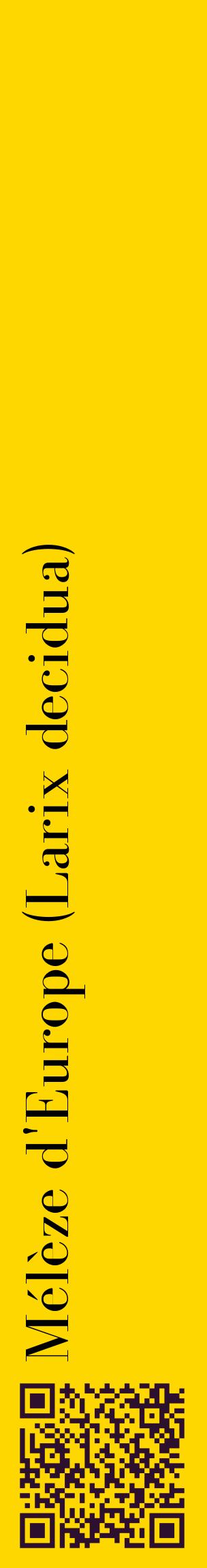 Étiquette de : Larix decidua - format c - style noire21_basiquebod avec qrcode et comestibilité