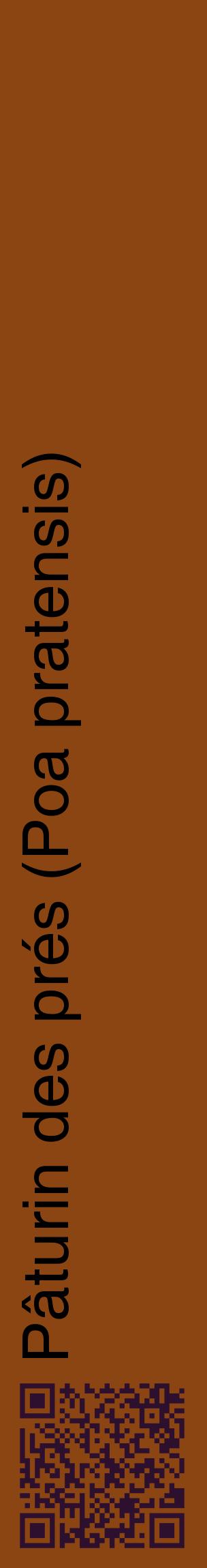 Étiquette de : Poa pratensis - format c - style noire30_basiquehel avec qrcode et comestibilité