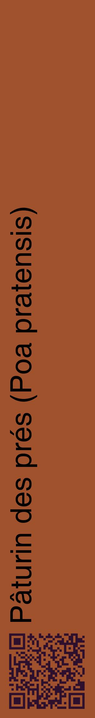 Étiquette de : Poa pratensis - format c - style noire32_basiquehel avec qrcode et comestibilité