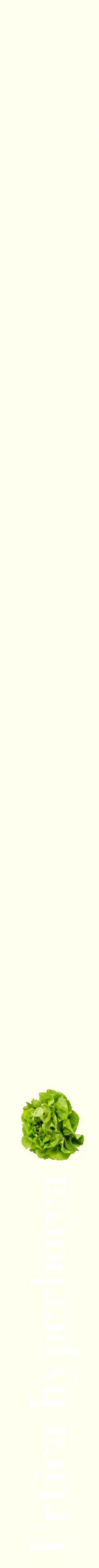 Étiquette de : Urtica hyperborea - format b - style blanche19bod avec comestibilité simplifiée