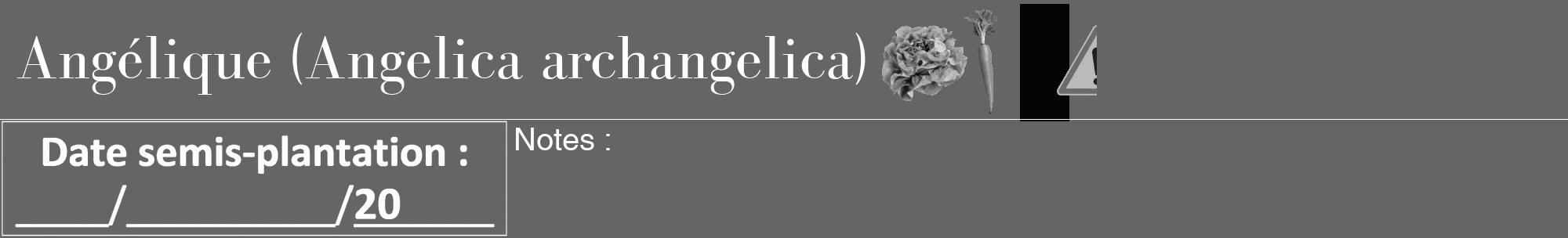 Étiquette de : Angelica archangelica - format a - style blanche32bod avec comestibilité simplifiée