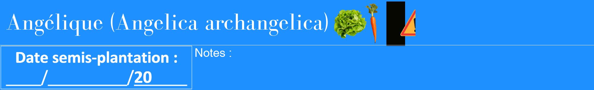 Étiquette de : Angelica archangelica - format a - style blanche3bod avec comestibilité simplifiée
