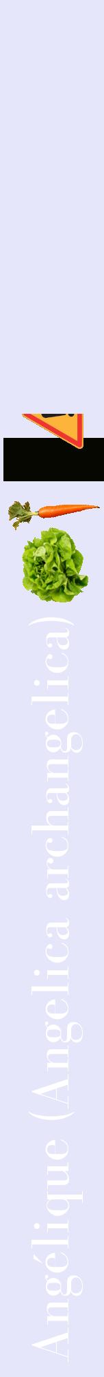 Étiquette de : Angelica archangelica - format a - style blanche55bod avec comestibilité simplifiée