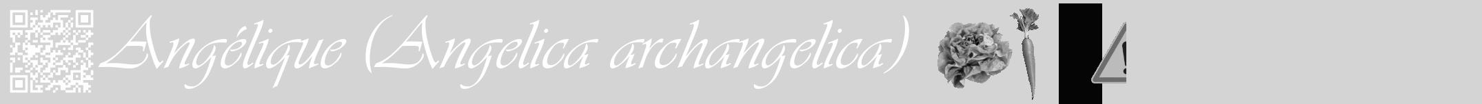 Étiquette de : Angelica archangelica - format a - style blanche40viv avec qrcode et comestibilité simplifiée