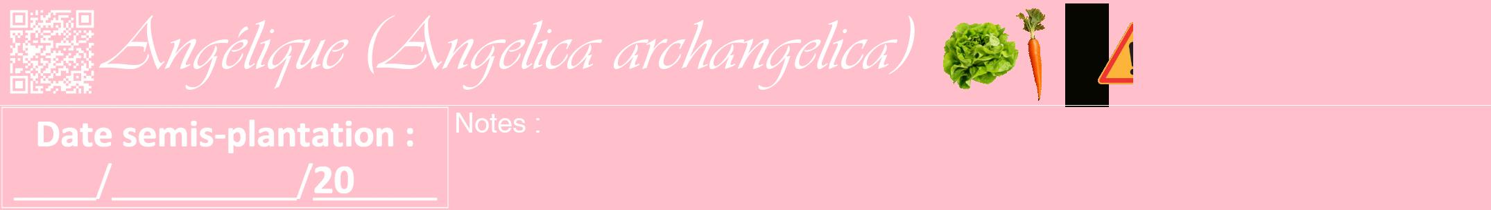 Étiquette de : Angelica archangelica - format a - style blanche40viv avec qrcode et comestibilité simplifiée