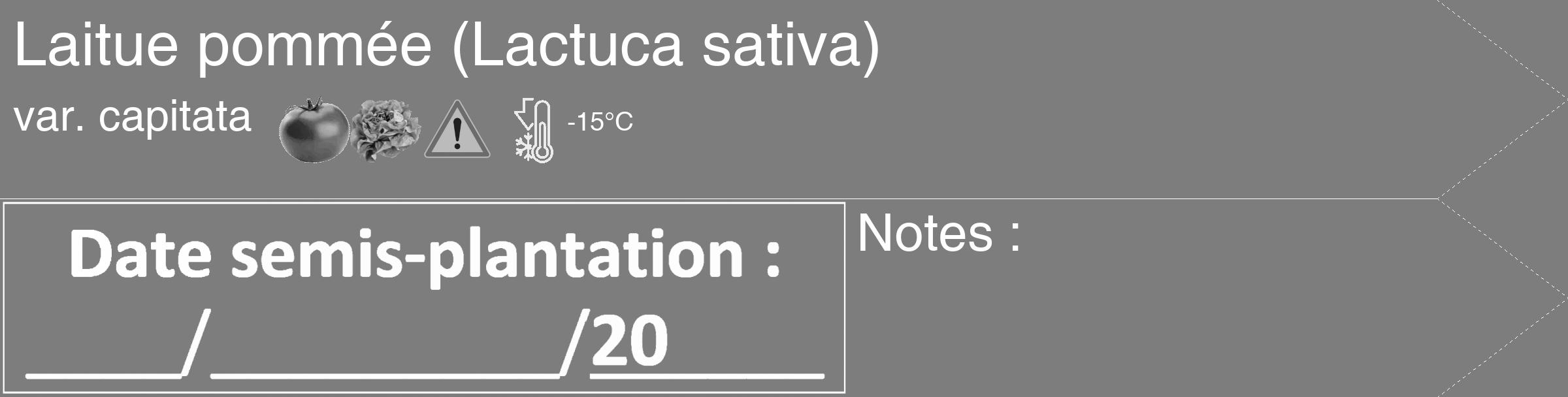 Étiquette de : Lactuca sativa var. capitata - format c - style blanche35simple_simple_simplehel avec comestibilité simplifiée