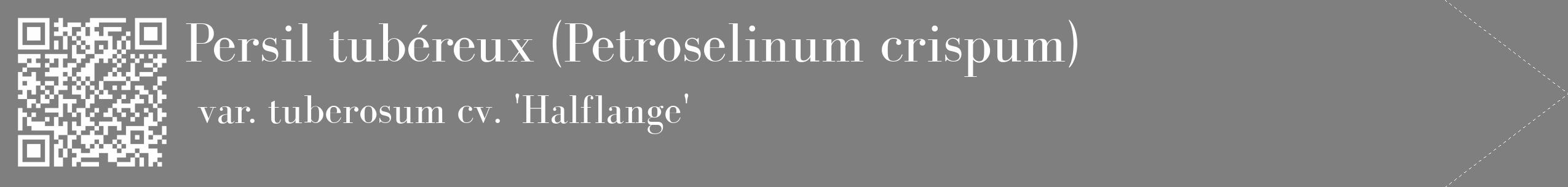 Étiquette de : Petroselinum crispum var. tuberosum cv. 'Halflange' - format c - style blanche31_simple_simplebod avec qrcode et comestibilité