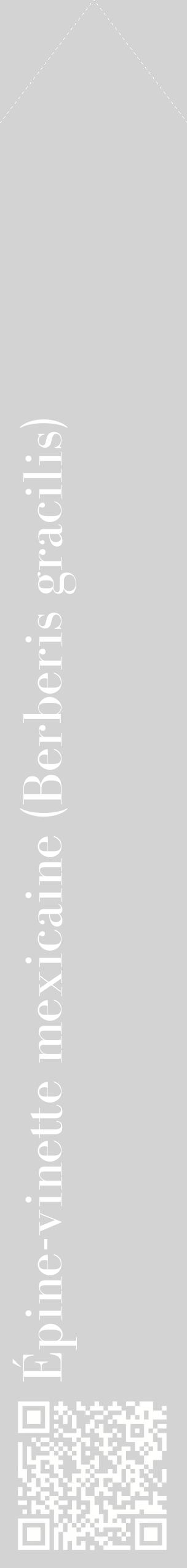 Étiquette de : Berberis gracilis - format c - style blanche56_simplebod avec qrcode et comestibilité