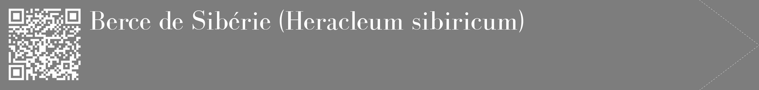 Étiquette de : Heracleum sibiricum - format c - style blanche35_simple_simplebod avec qrcode et comestibilité