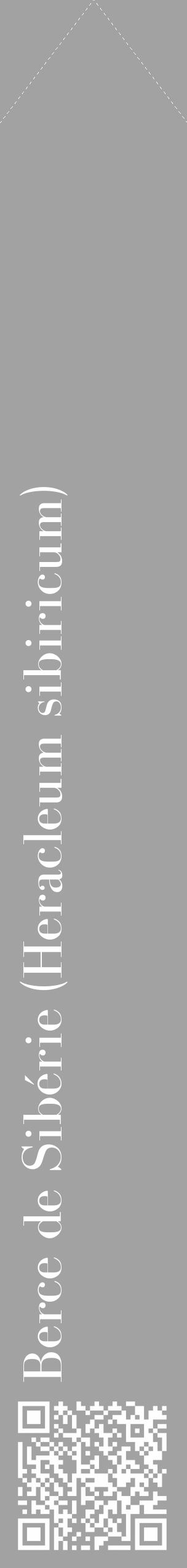Étiquette de : Heracleum sibiricum - format c - style blanche38_simple_simplebod avec qrcode et comestibilité - position verticale