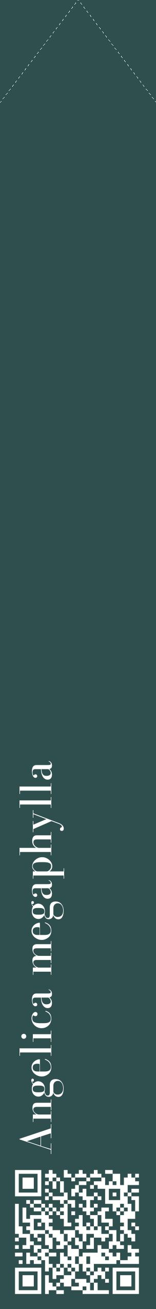 Étiquette de : Angelica megaphylla - format c - style blanche58_simplebod avec qrcode et comestibilité