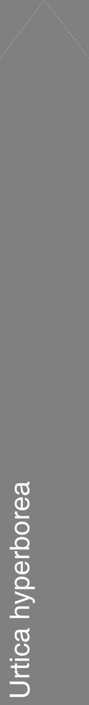 Étiquette de : Urtica hyperborea - format c - style blanche57_simplehel avec comestibilité