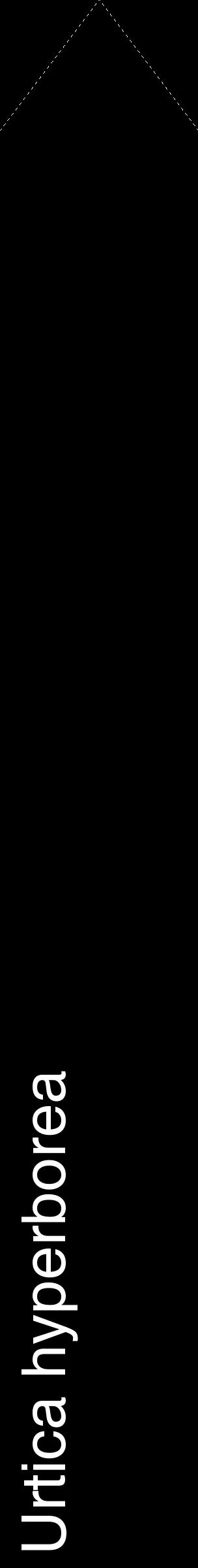 Étiquette de : Urtica hyperborea - format c - style blanche59_simplehel avec comestibilité