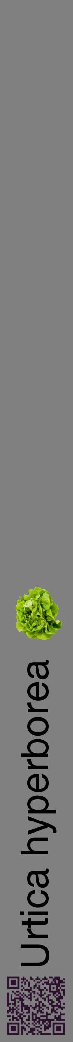 Étiquette de : Urtica hyperborea - format a - style noire57hel avec qrcode et comestibilité simplifiée