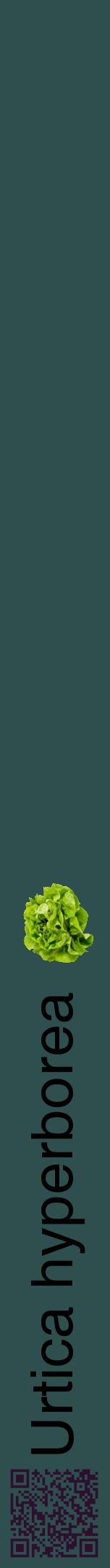 Étiquette de : Urtica hyperborea - format a - style noire58hel avec qrcode et comestibilité simplifiée