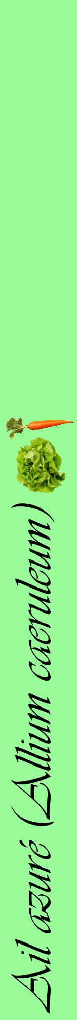 Étiquette de : Allium caeruleum - format a - style noire14viv avec comestibilité simplifiée