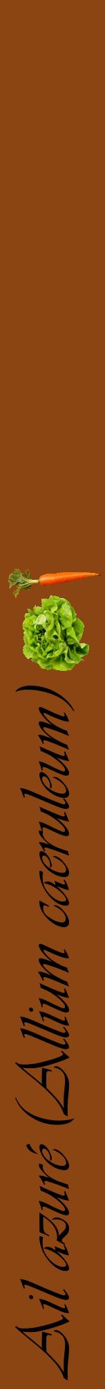 Étiquette de : Allium caeruleum - format a - style noire30viv avec comestibilité simplifiée